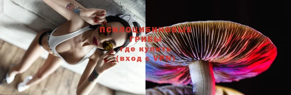 герыч Гусь-Хрустальный