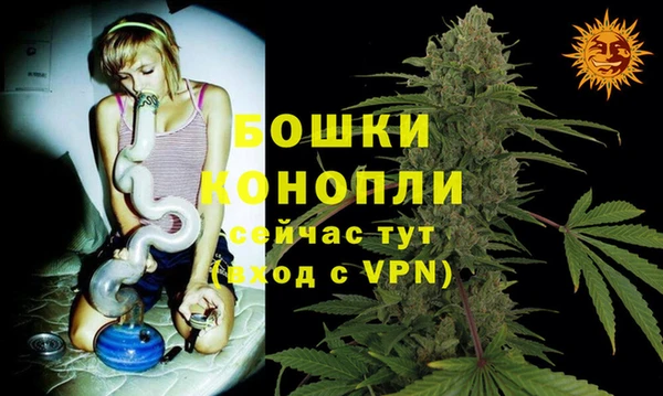 прущая мука Гусев