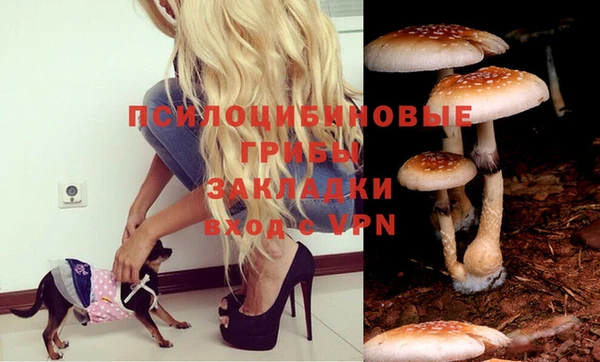 MESCALINE Гусиноозёрск