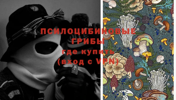 герыч Гусь-Хрустальный