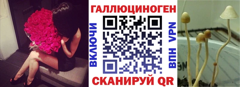 Галлюциногенные грибы Magic Shrooms  Демидов 